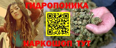 сатива Абакан