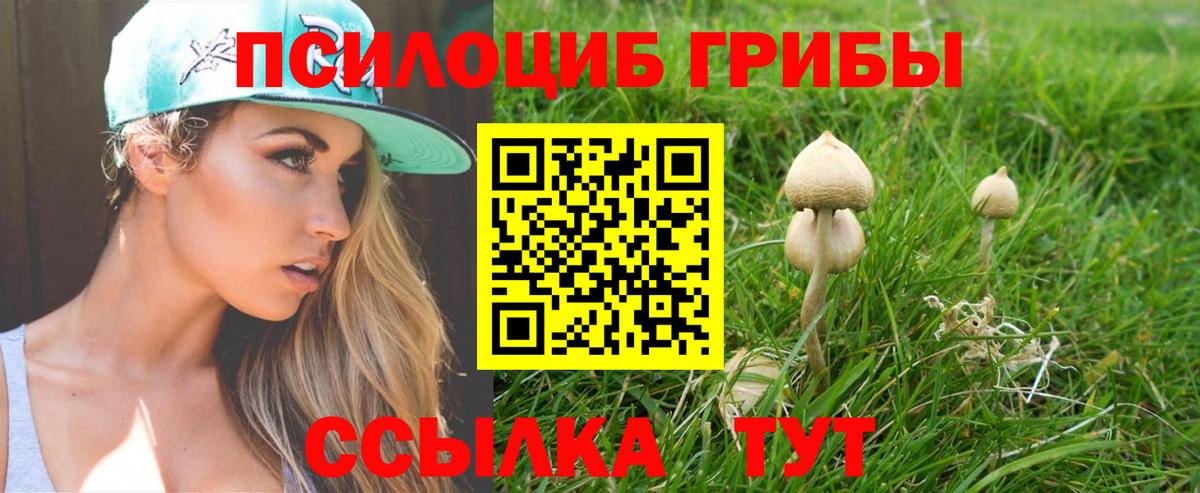 Абакан  Галлюциногенные грибы MAGIC MUSHROOMS  Вход с VPN 